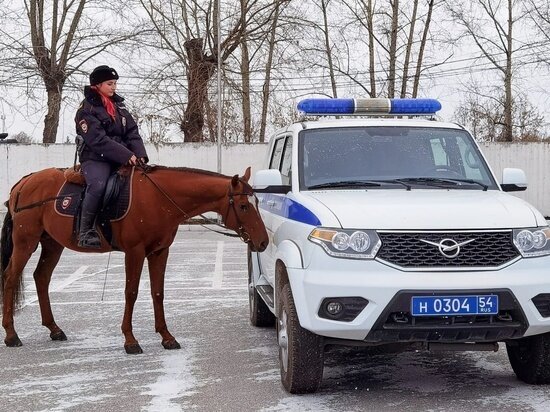     фото новосибирского ипподрома