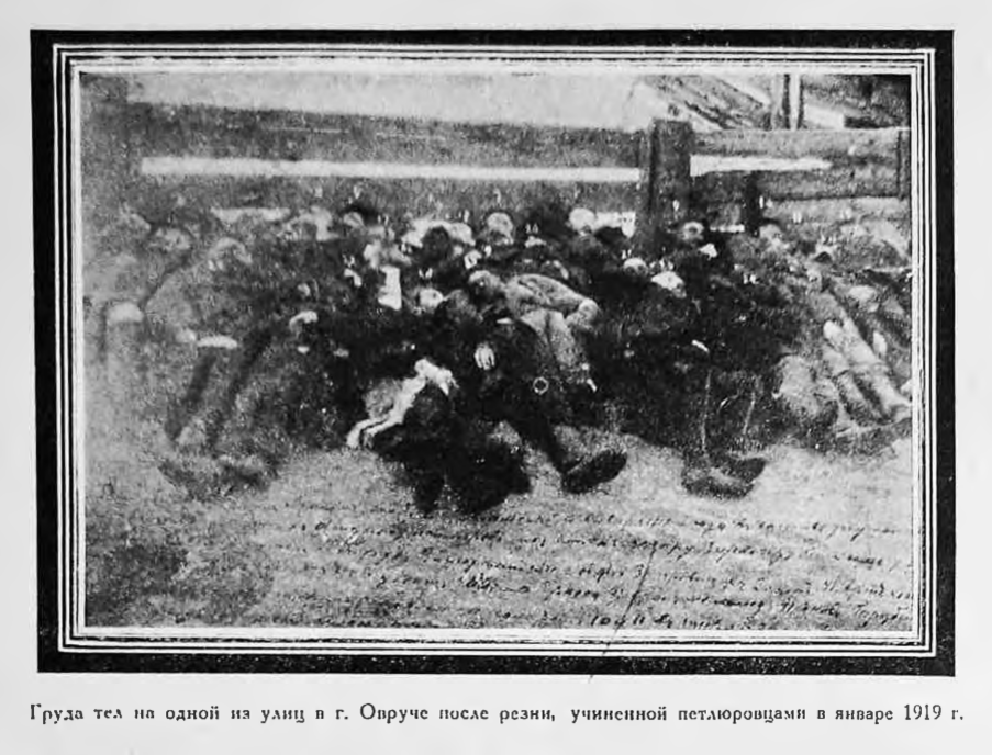 Фото из открытых источников