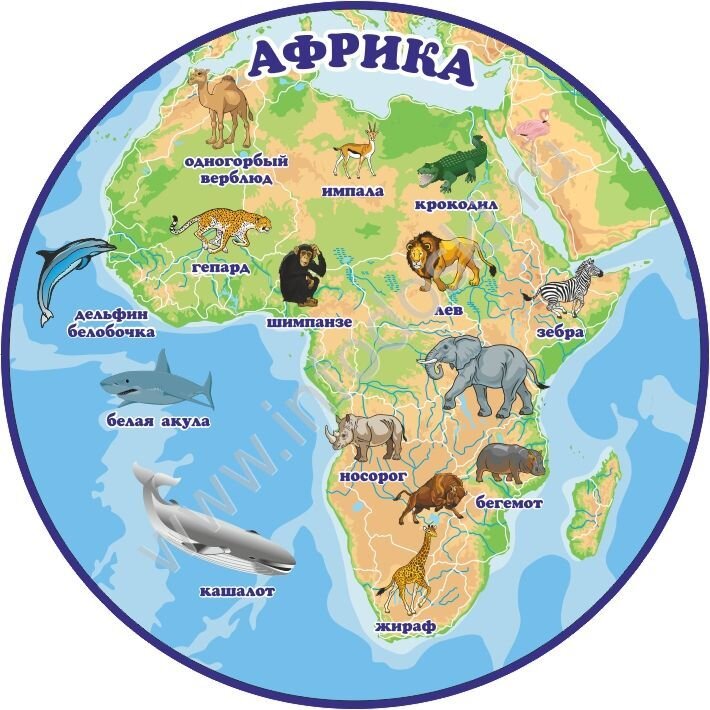 Животные африки впр 4 класс