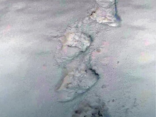     ФОТО: АДМИНИСТРАЦИЯ ДИВНОГОРСКА/ VK.COM/DIVNOGORSK_ADM