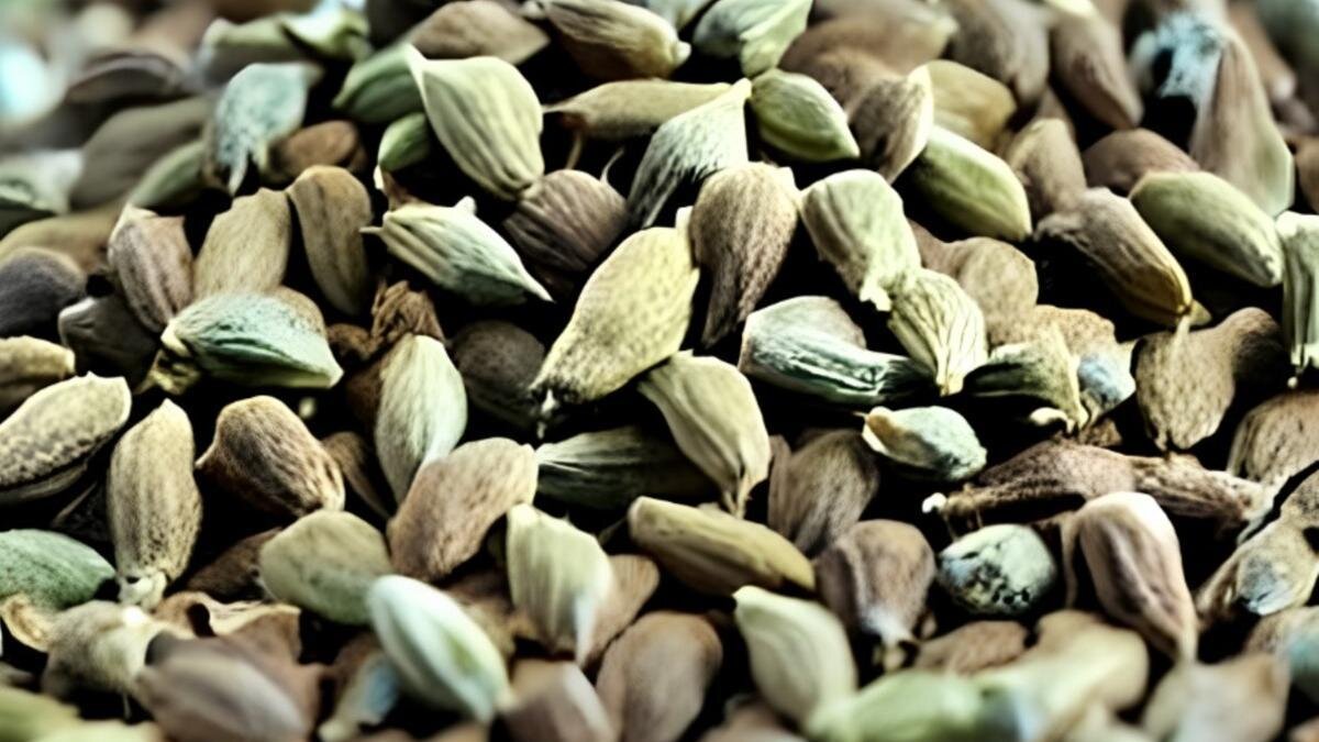    Кардамон:Автоматически сгенерированное изображение, Stable Diffusion