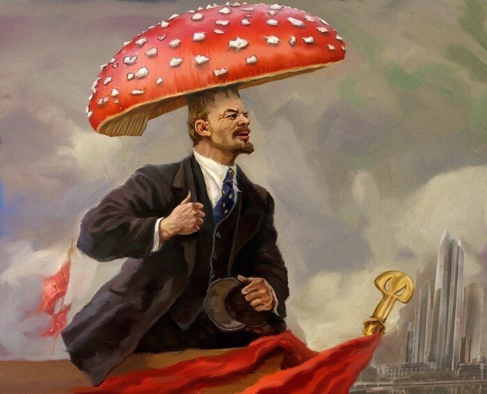 Яндекс картики