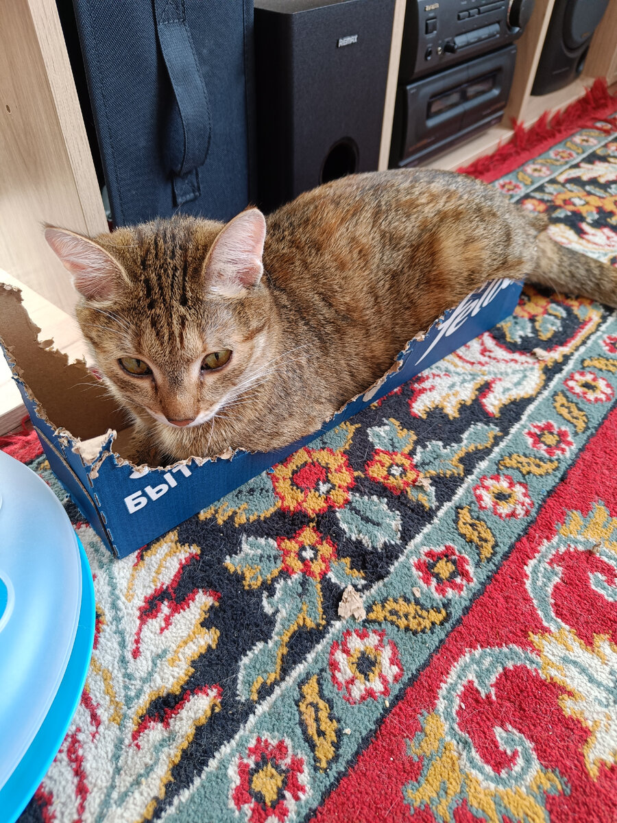 Люся заботливо подогнала парковку под размер сестрички