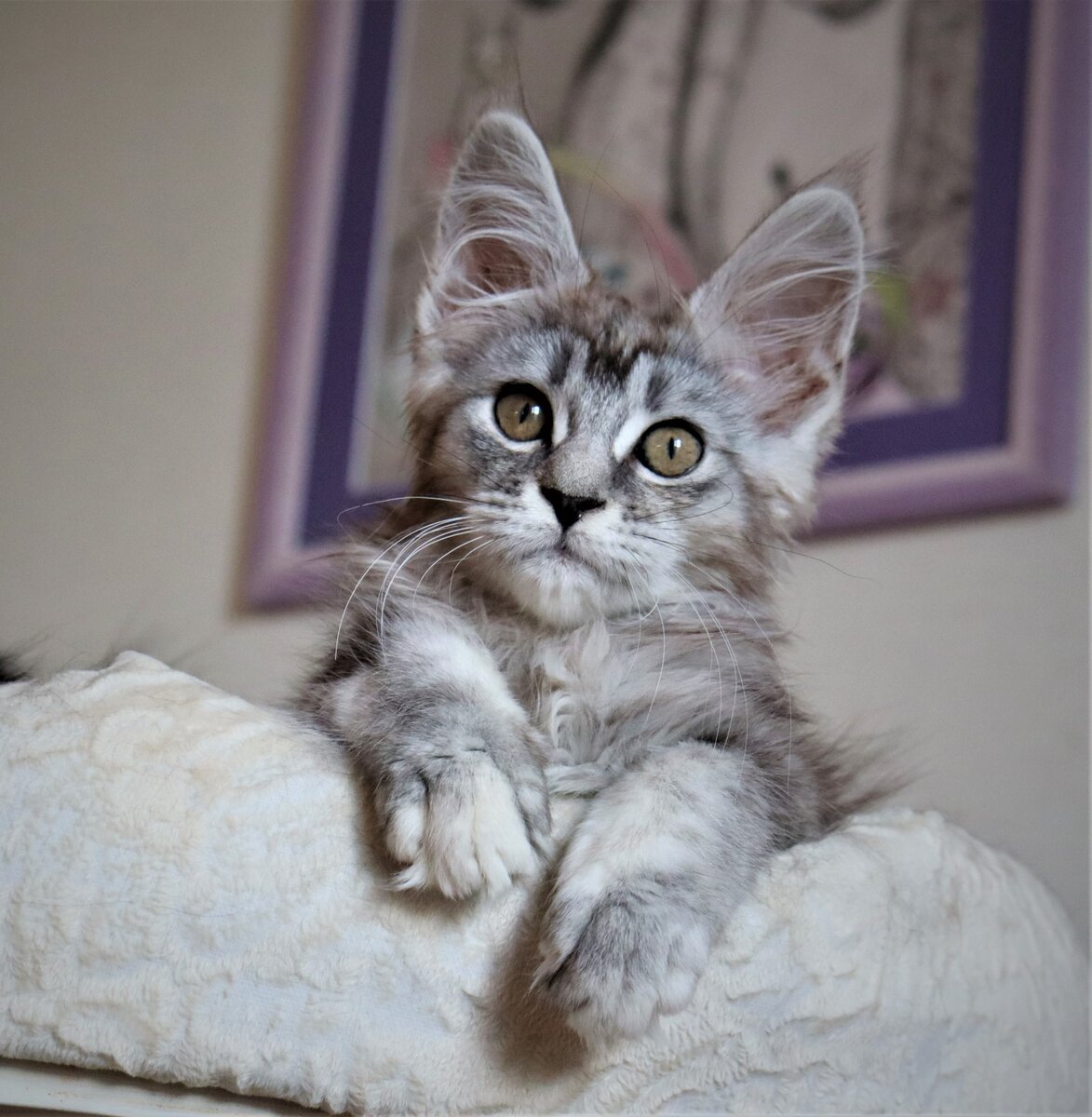 Фото из личного архива.