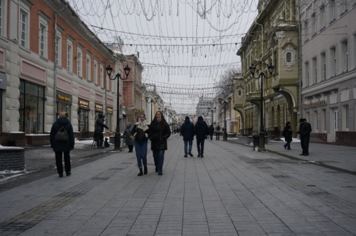    Деревья появятся на Большой Покровской в Нижнем Новгороде