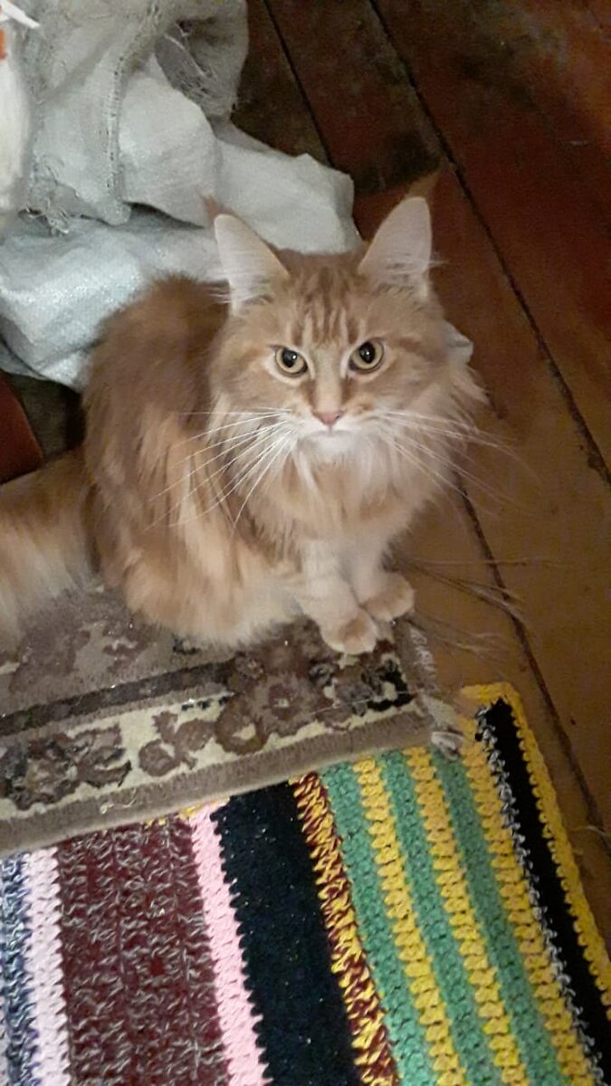 Сверкает глазами, ух!