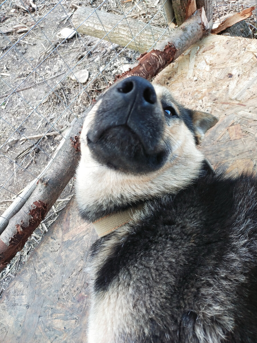 Аки улыбаки