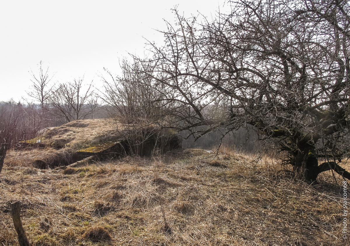 ДОТ 21 Х БРО Минского укрепрайона. Вид с востока. Хорошо виден вход через легкую пристройку на дальнем плане пойма реки Карачунка