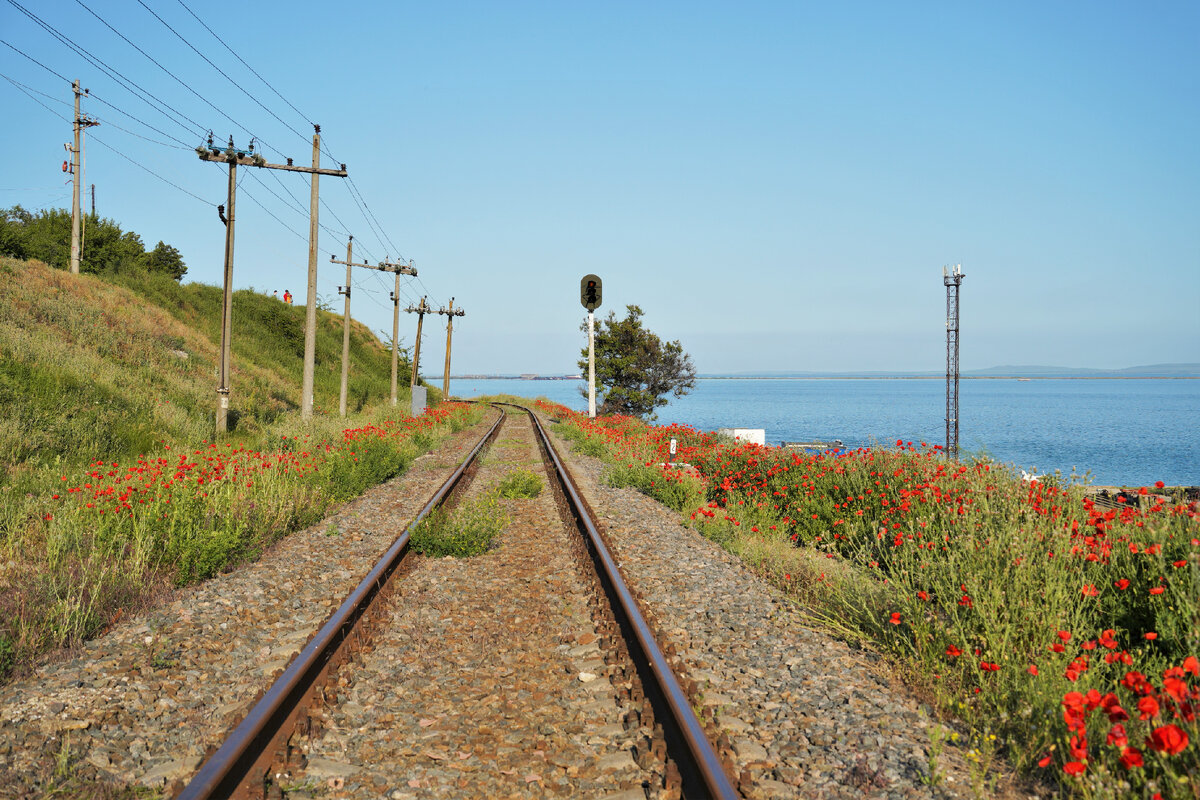 Железная дорога утопает в маках. (Листайте дальше).