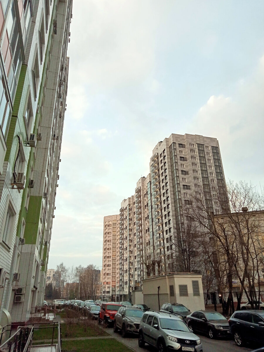 Дождик , воскресенье, вербное.