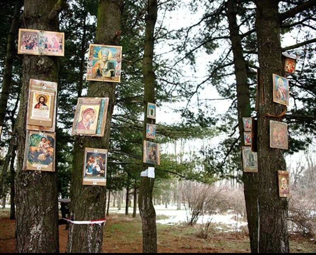 Жуткое место в Краснодаре. Городские легенды. | Переезд на Кубань с Урала.  Путешествия и жизнь в станице. | Дзен