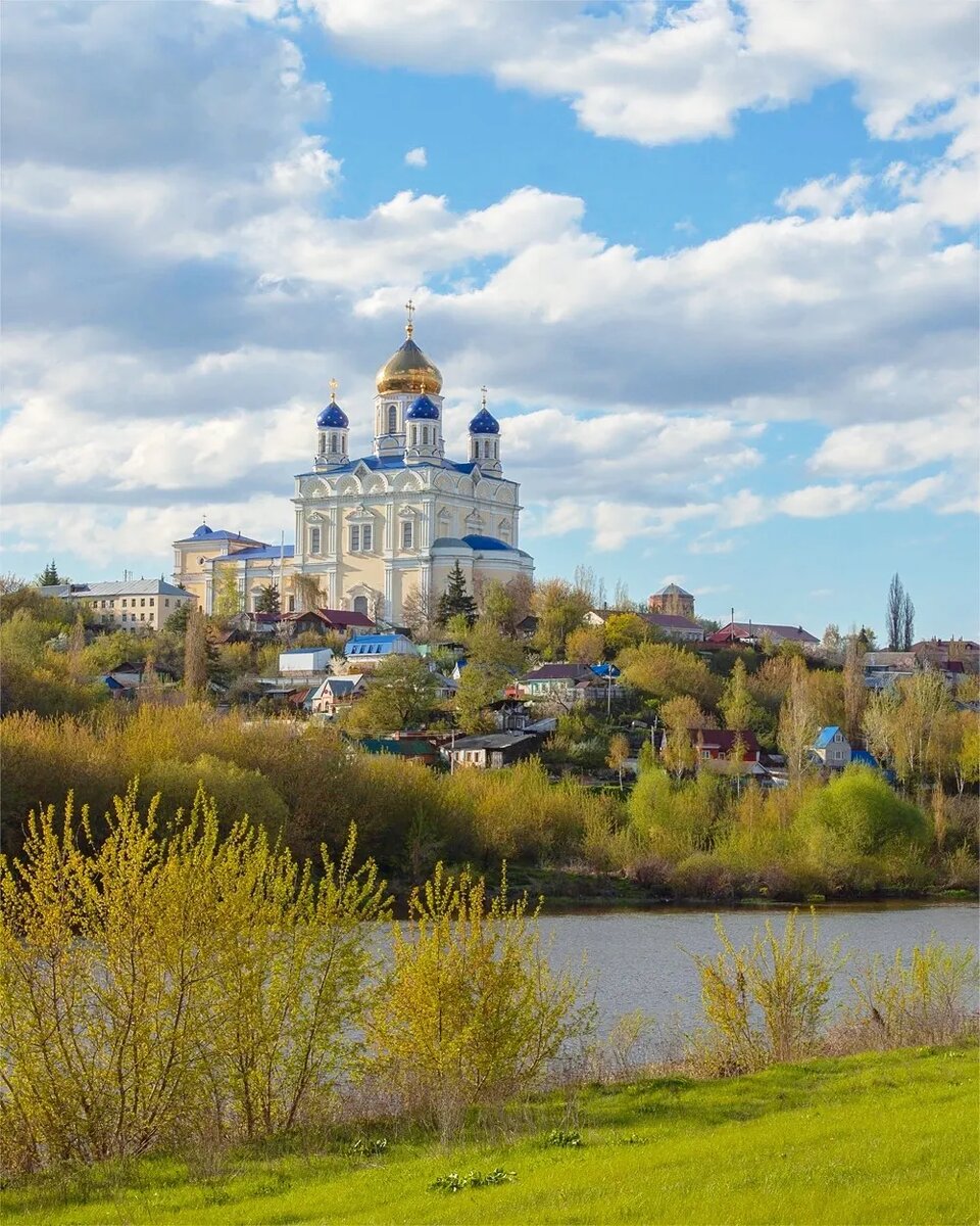 Вознесенский собор Елец зимний пейзаж