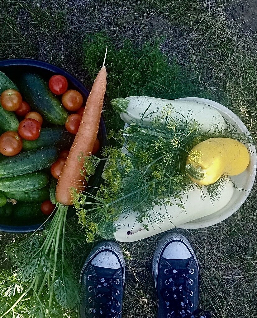 Морковь-это серьезнее некуда.