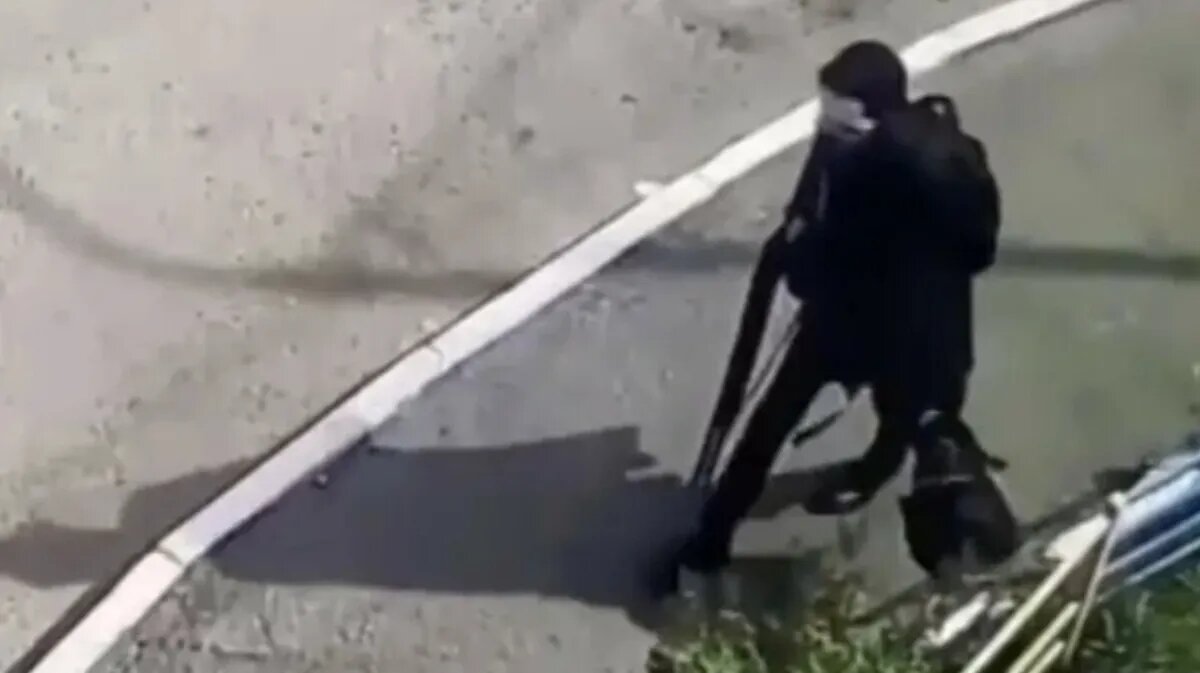 Фото: Вконтакте, стоп-кадр с камер наблюдения