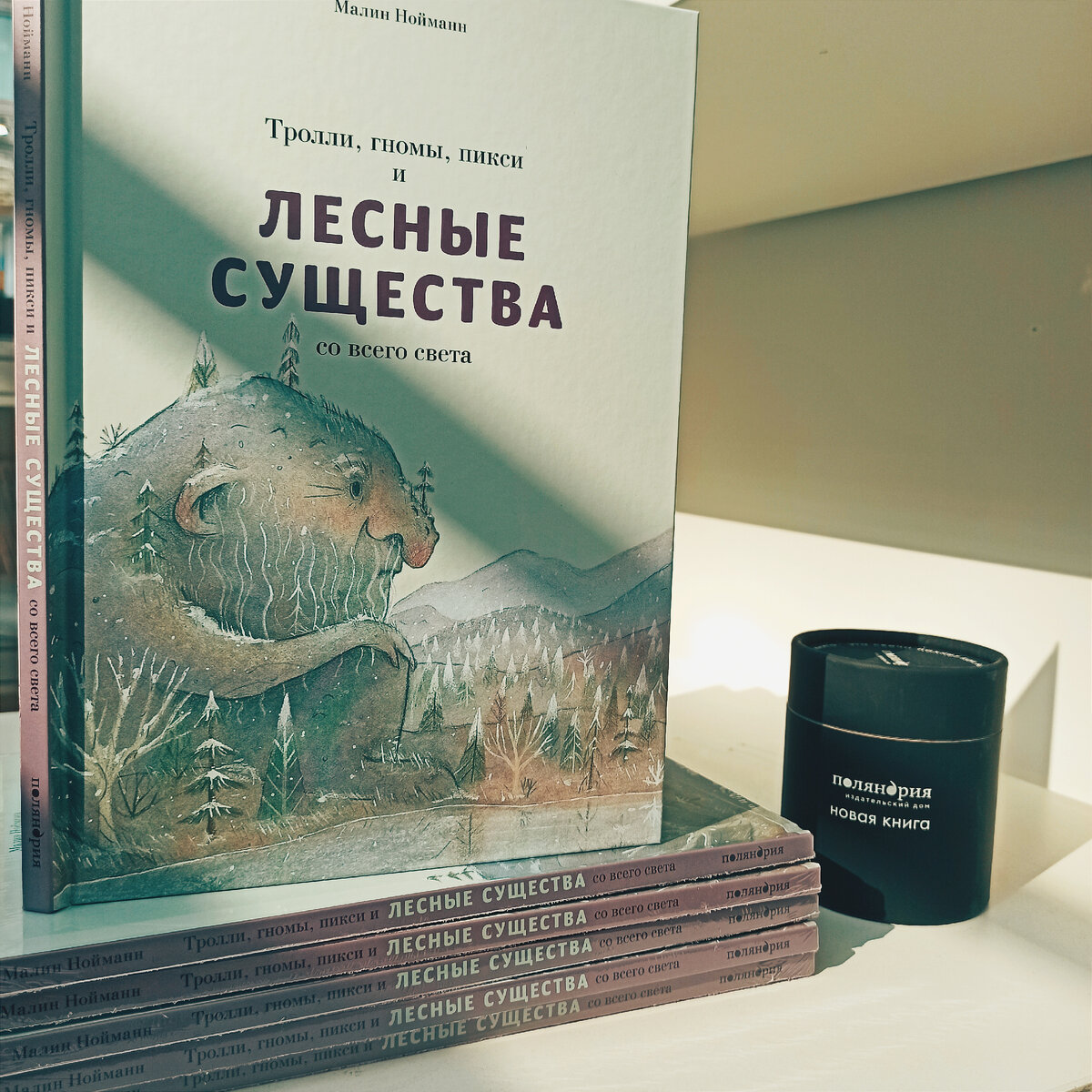 Тролли, гномы, пикси и лесные существа со всего света | Школа Сказочников |  Дзен