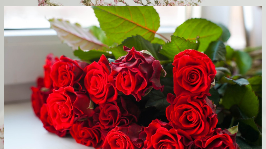 Тайный язык цветов: Что на самом деле говорит ваш букет | Психология и  жизнь | Дзен