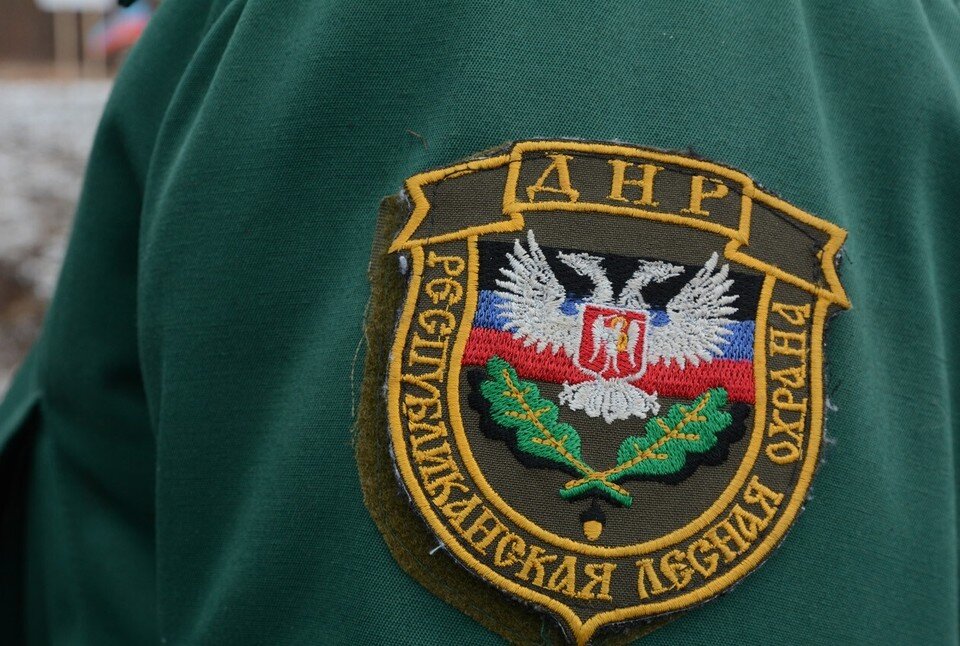     На время действия пожароопасного периода в лес запрещено заезжать гражданским автомобилям. Фото: ДАН