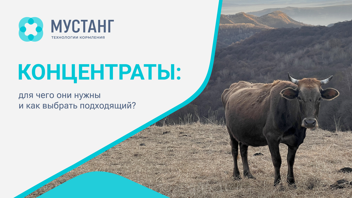 Мустанг технологии. Полноценность кормления животных
