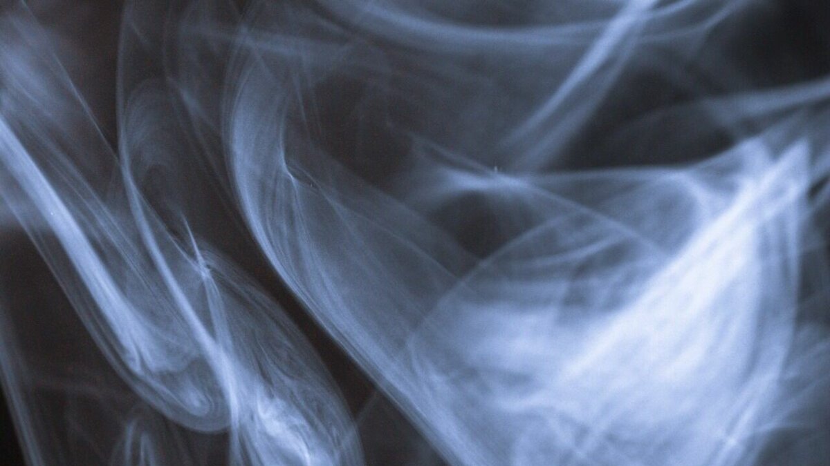     Депутаты Госдумы сразу в трех чтениях приняли законопроект о запрете продажи вейпов несовершеннолетним.