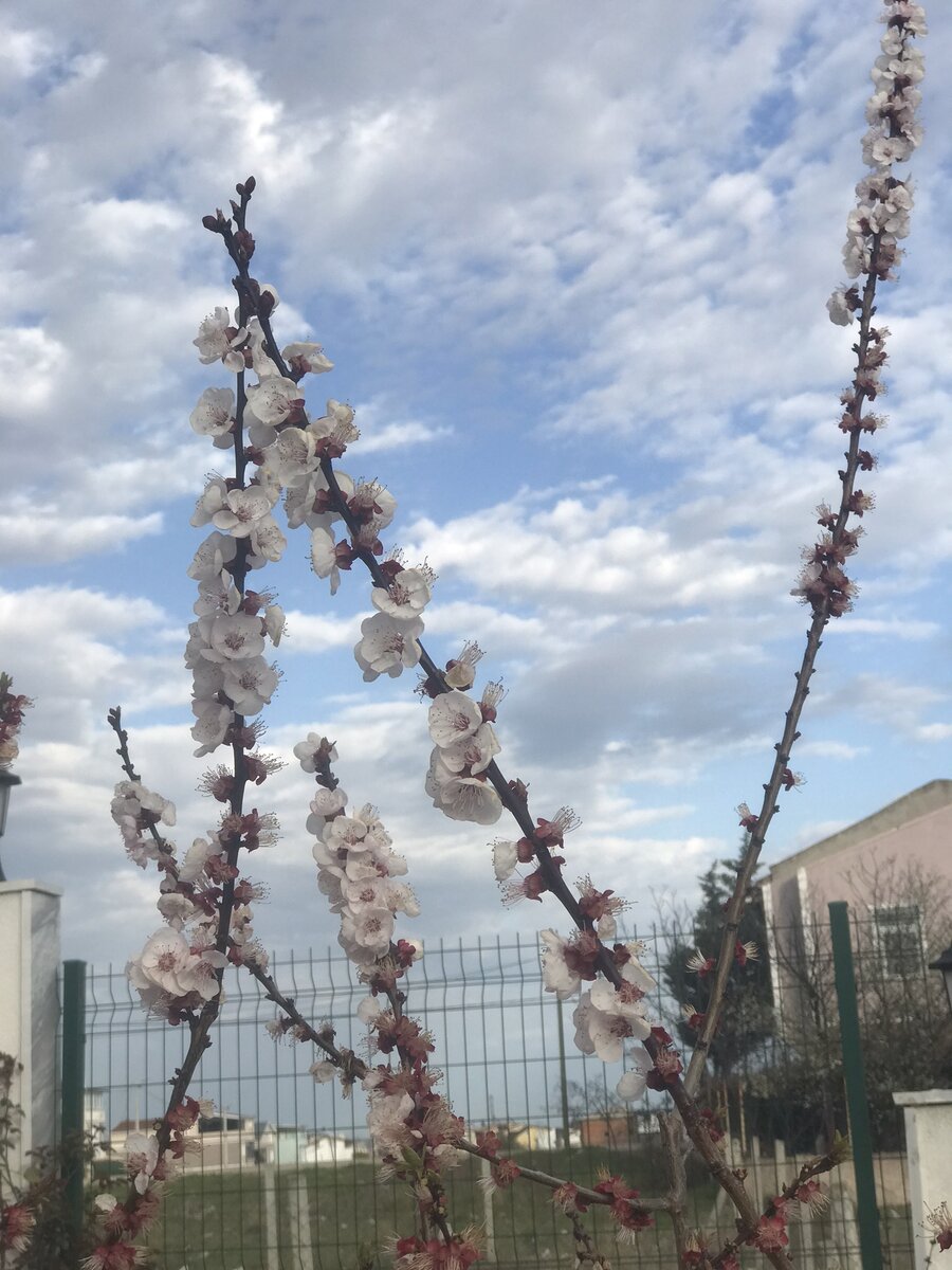 И ещё немного красивых фото