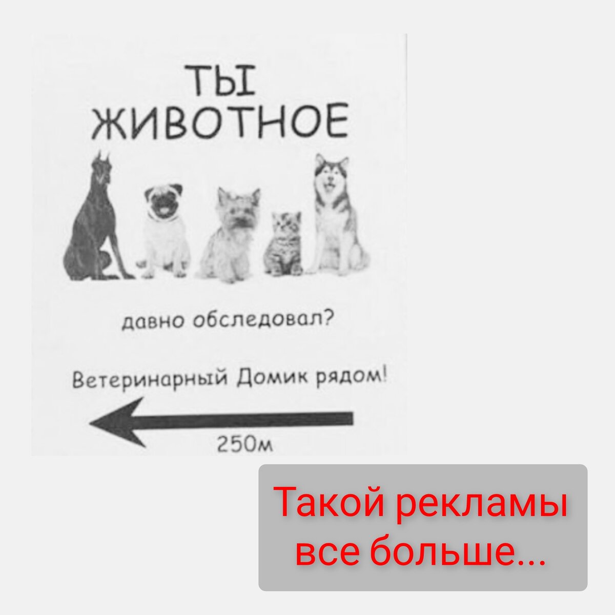 Маркетинговые крючки. Как магазины манипулируют нами | Искусство  расхламления | Дзен