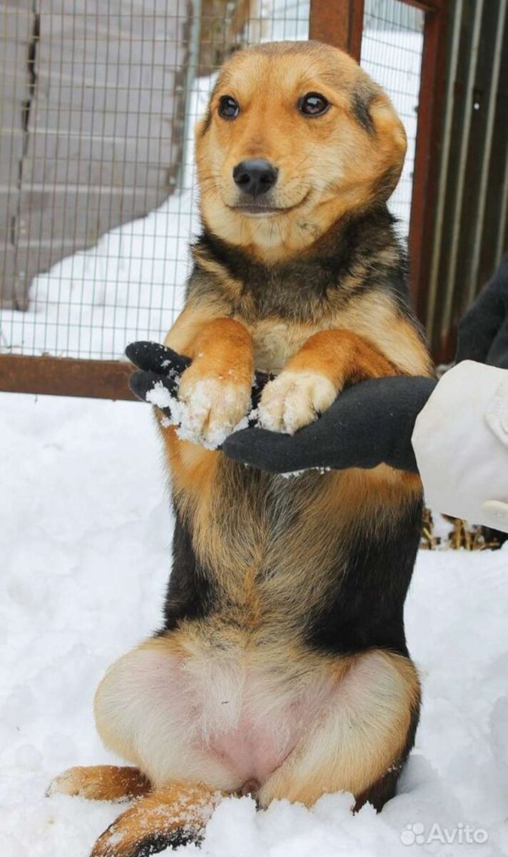 Ниночка, возраст 2 года, весит около 5 кг.