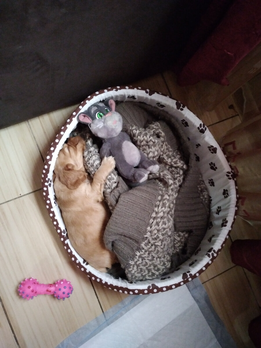 Одно из первых фото.