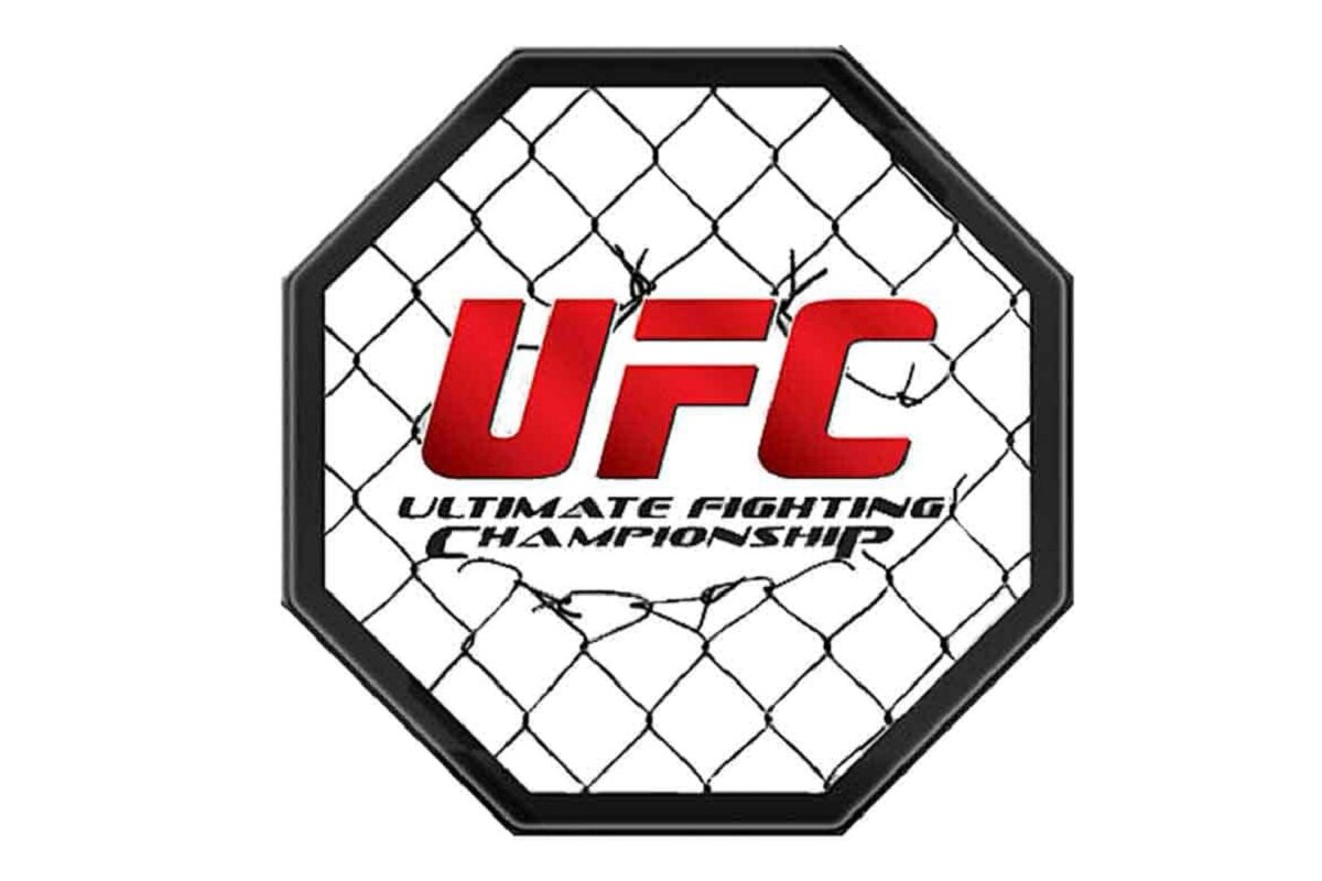 Футболка Reebok Ufc Fg Logo Tee (FJ5159)