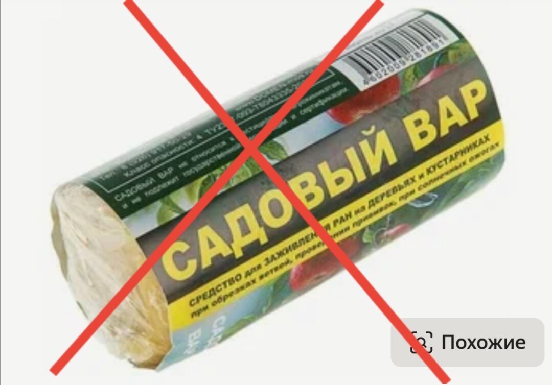 Волшебный бальзам для деревьев вместо садового вара | Green_Sibirea | Дзен