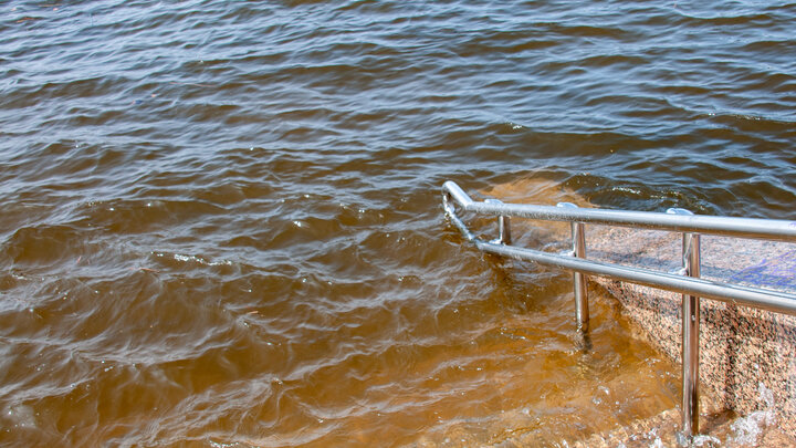 Вода в волге сейчас