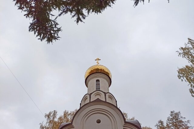    Фото: Аргументы и факты. Томск/ Наталья Качановская