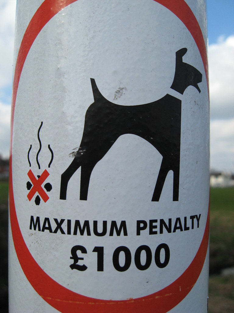 фото из открытых источников, все права у авторов