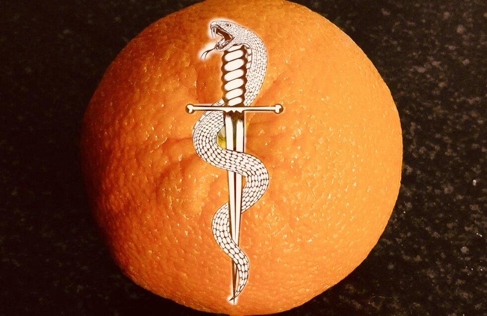 Древо жизни 