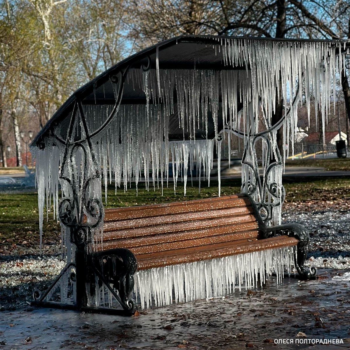 парки самары зимой