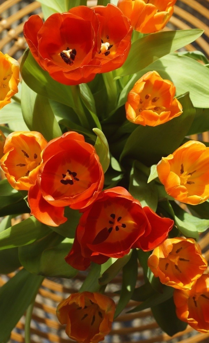 Фото из интернета