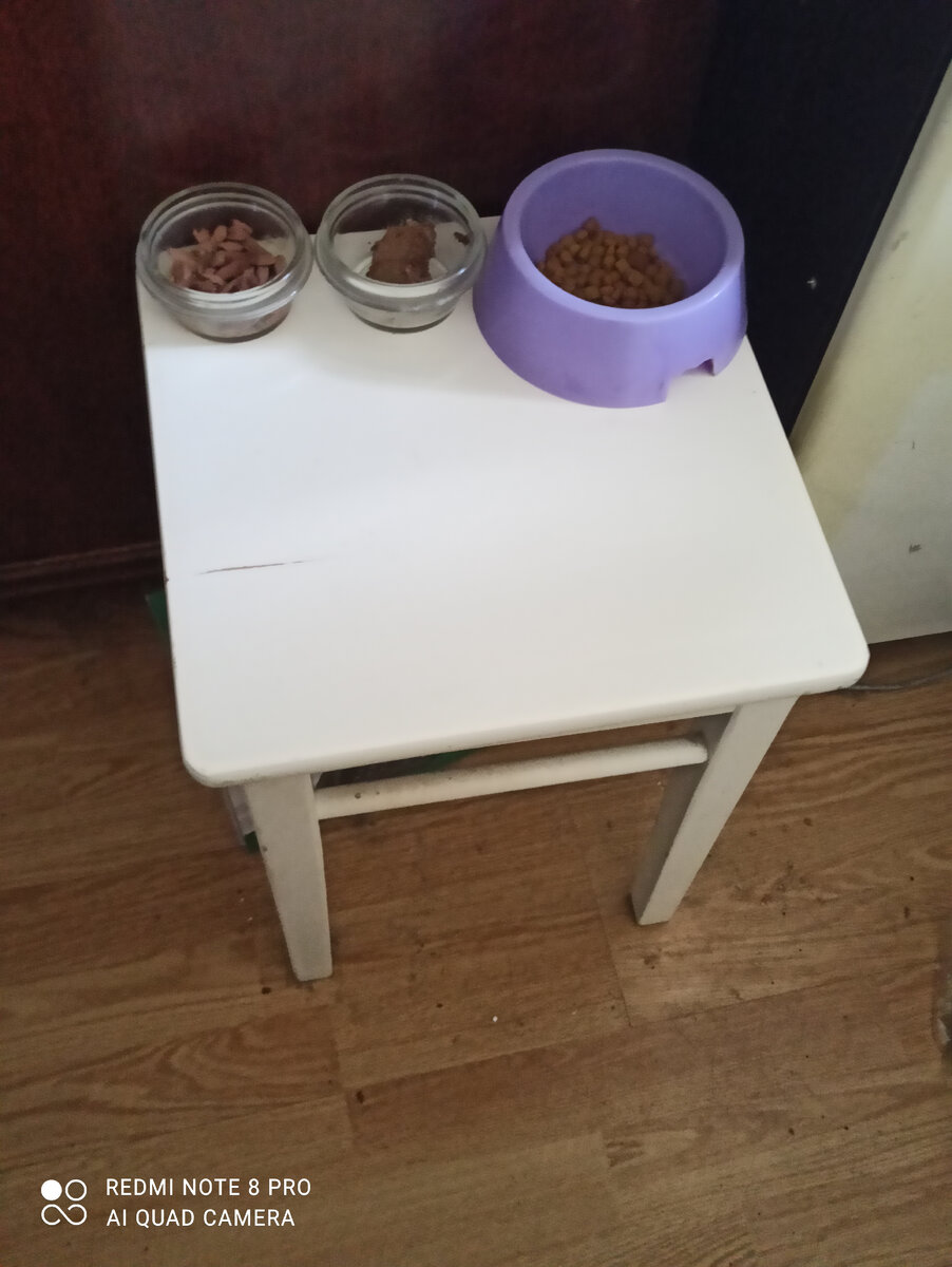 Это место, где кушает Рыся