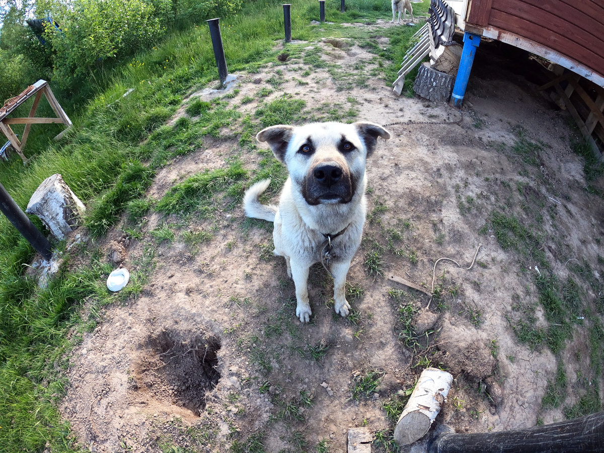 И это Туман