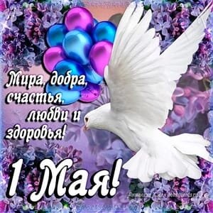 Дорогие читатели, поздравляю всех с этим праздником! 