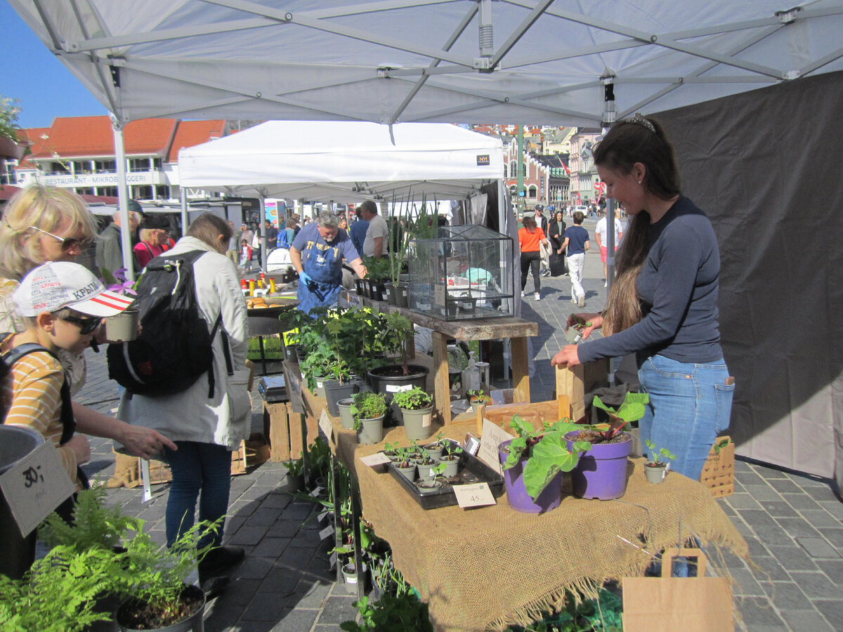 Фермерский рынок в Бергене.