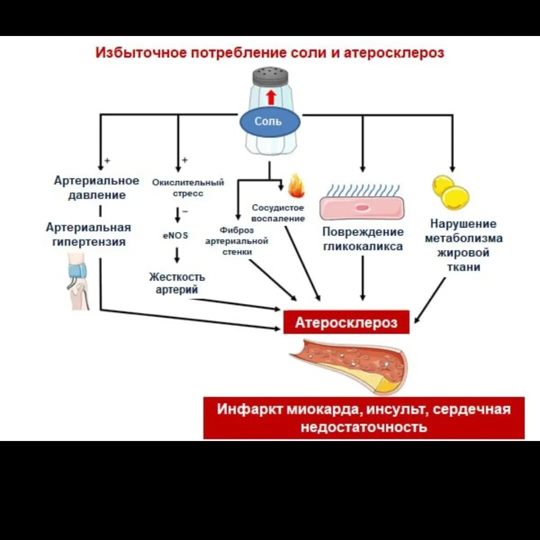 Соленый огурец – убийца? ⠀ Лайкни❤️, репостни другу❤️, сохрани❤️.-2