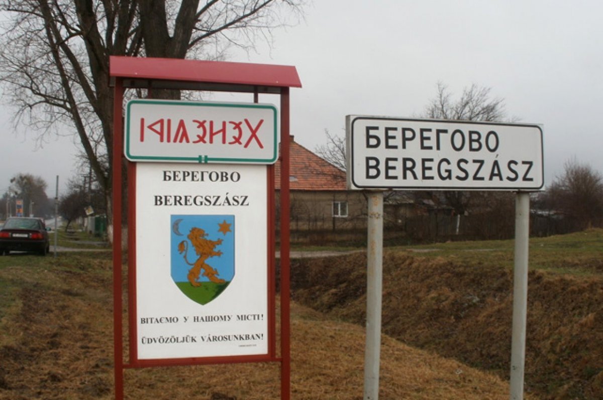    В парламенте Венгрии призвали Украину предоставить Закарпатью автономию