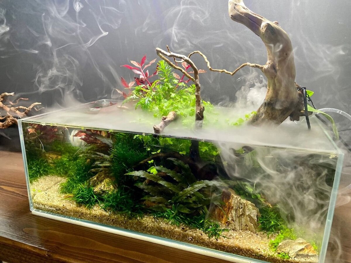 Работа Маши Блюм