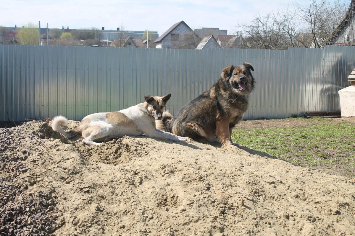 Пират и Малыш