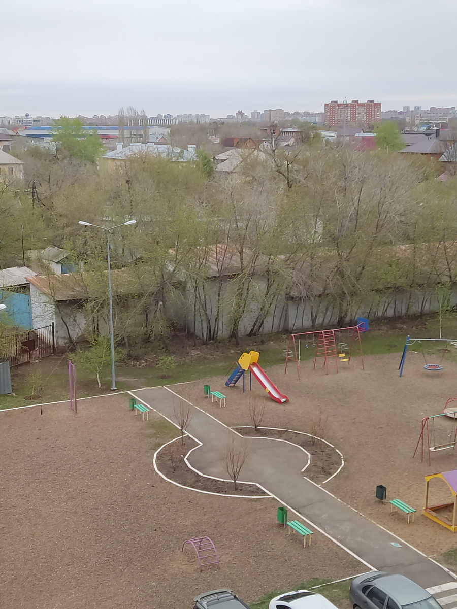 Потихоньку всё зеленеет