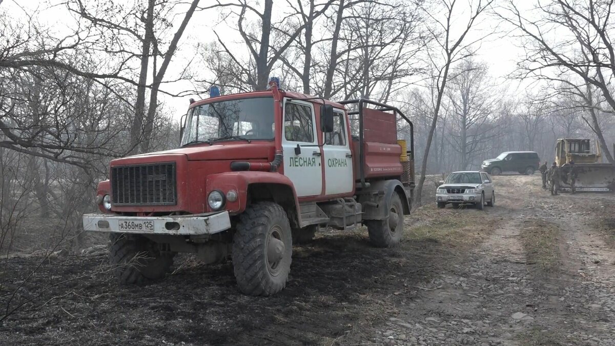     Крупный лесной пожар, который начался 22 апреля в Дальнегорском городском округе, был локализован вечером 25 апреля и потушен на следующее утро. Причиной возгорания стал, вероятно, переход огня с земель других категорий. Ведется проверка для выявления виновных.