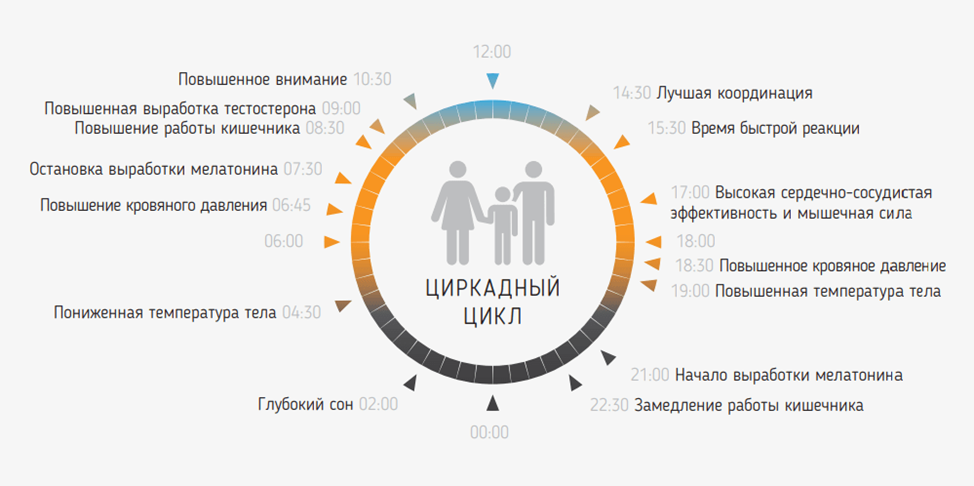 Биодинамическое (циркадное) освещение – это новый подход к умному освещению в системе умный дом, который основан на принципах биодинамики.