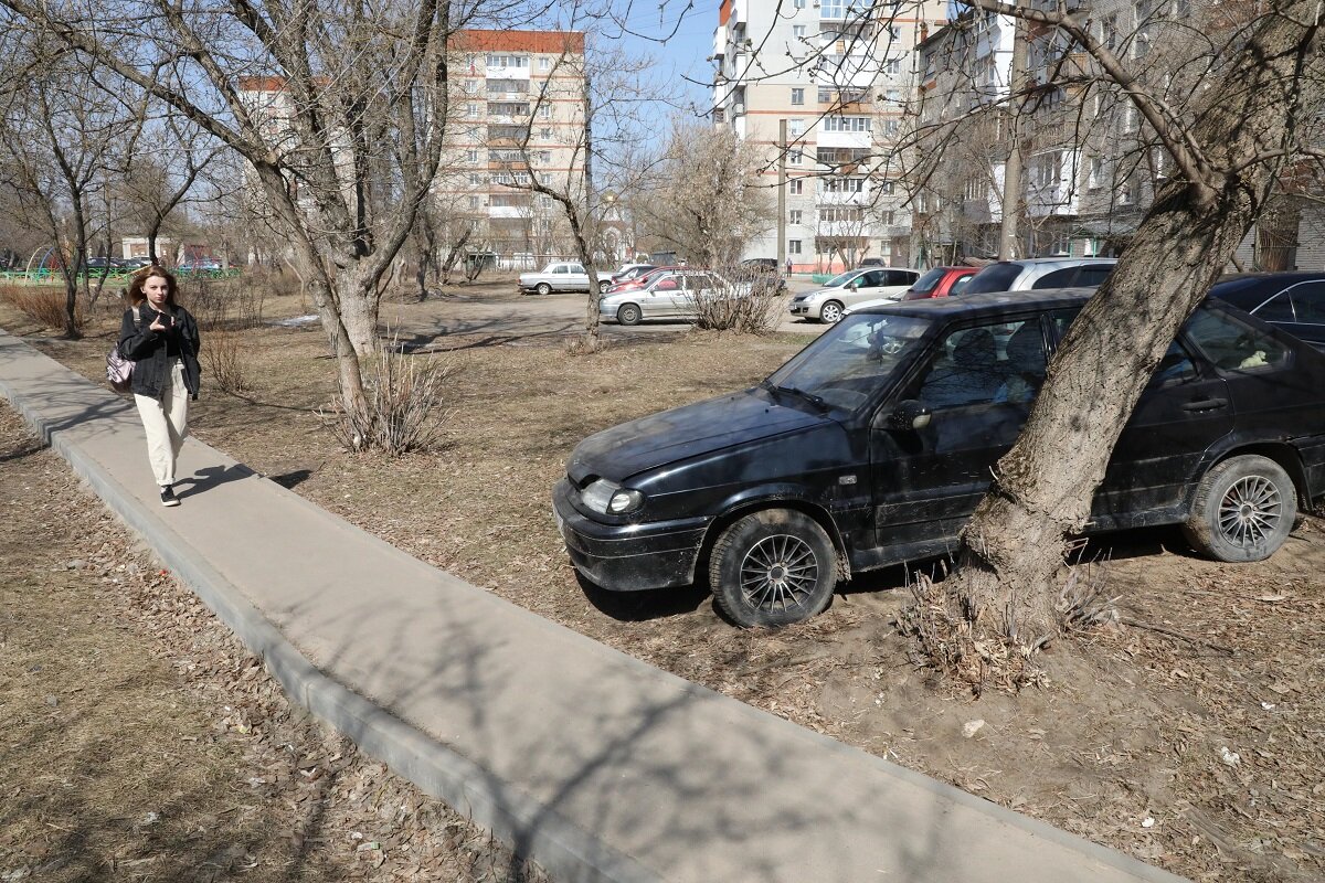    Всему виной – отсутствие зелени Светлана Лёвкина