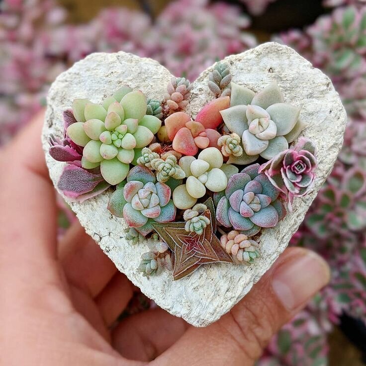 Свободный доступ Яндекс картинки