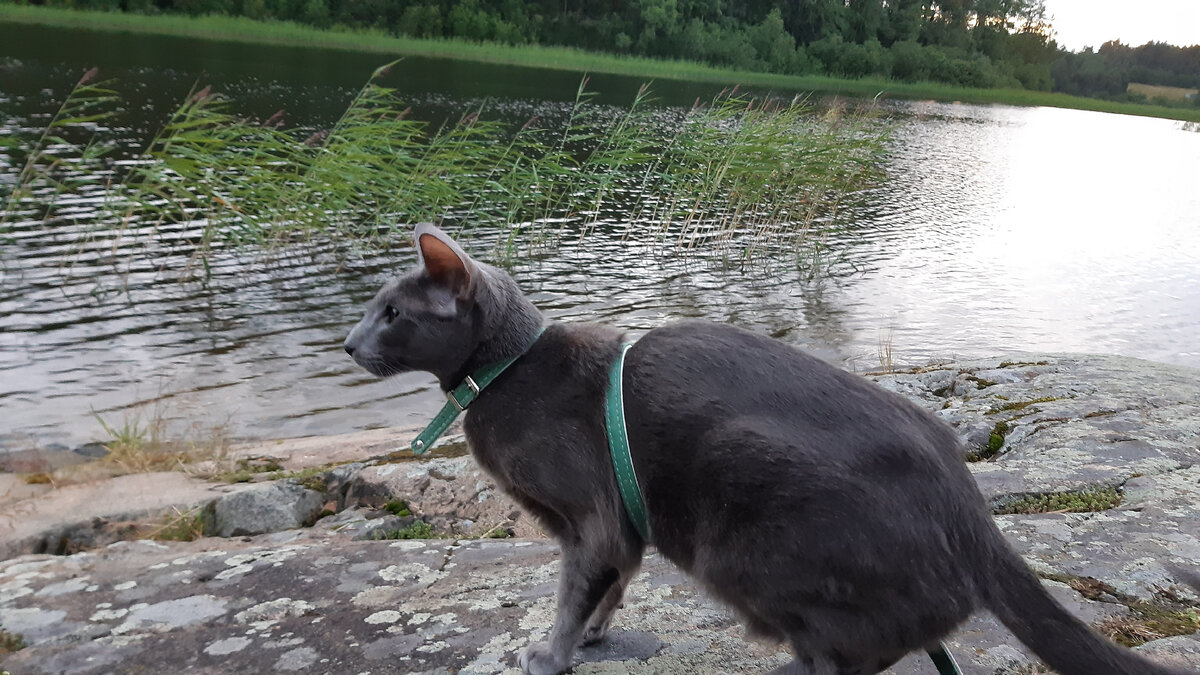 Страшно, но очень интересно!