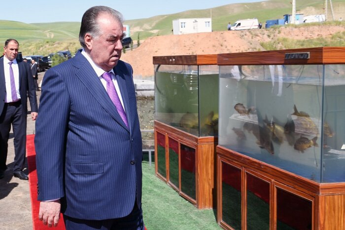 Источник фото: president.tj